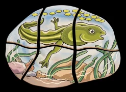 Lagenpuzzle - Frosch