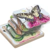 Lagenpuzzle - Schmetterling
