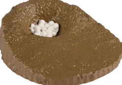 Lebenszyklus - Vom Ei Zur Meeresschildkrote