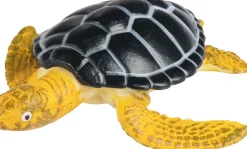 Lebenszyklus - Vom Ei Zur Meeresschildkrote