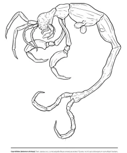 Malbuch - Mikromonster