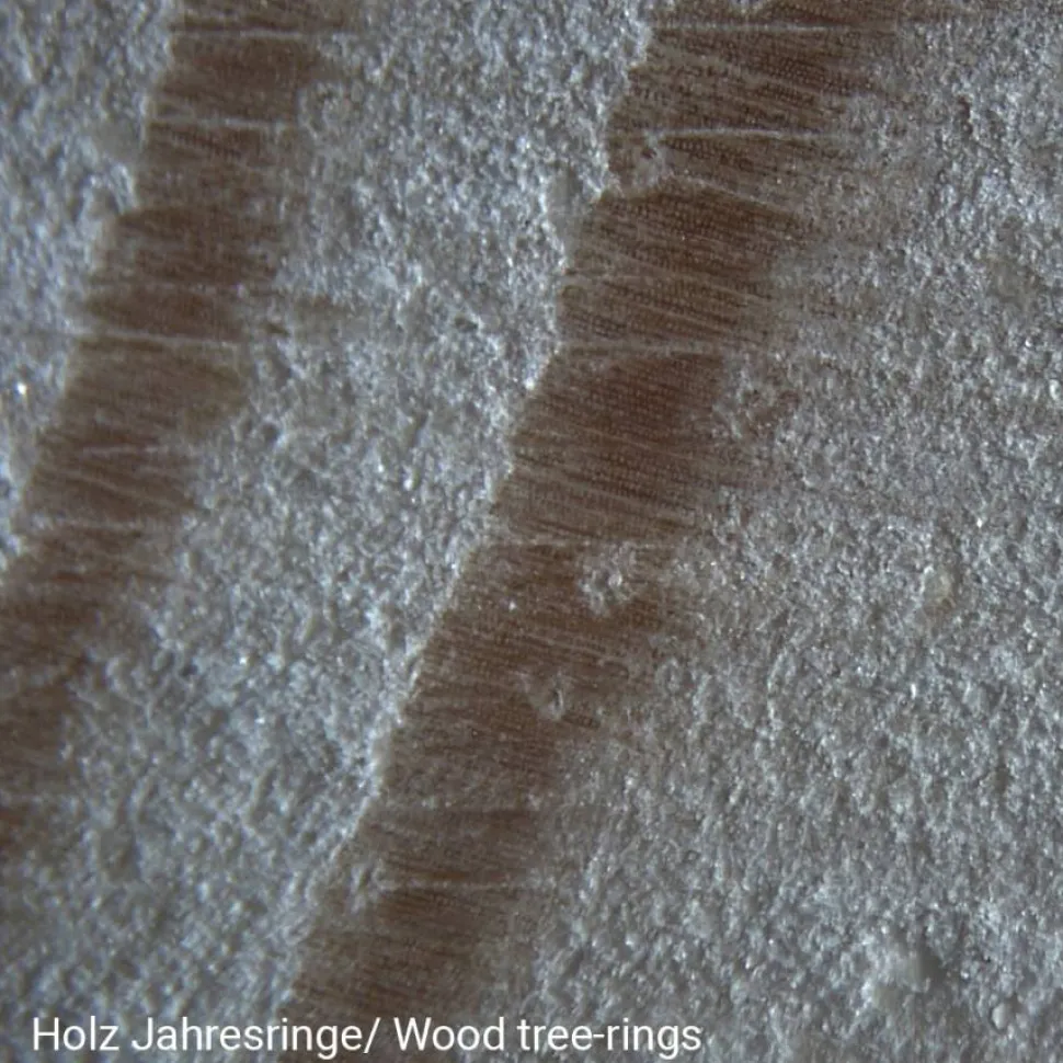 Mikroskop, Stereo 20X