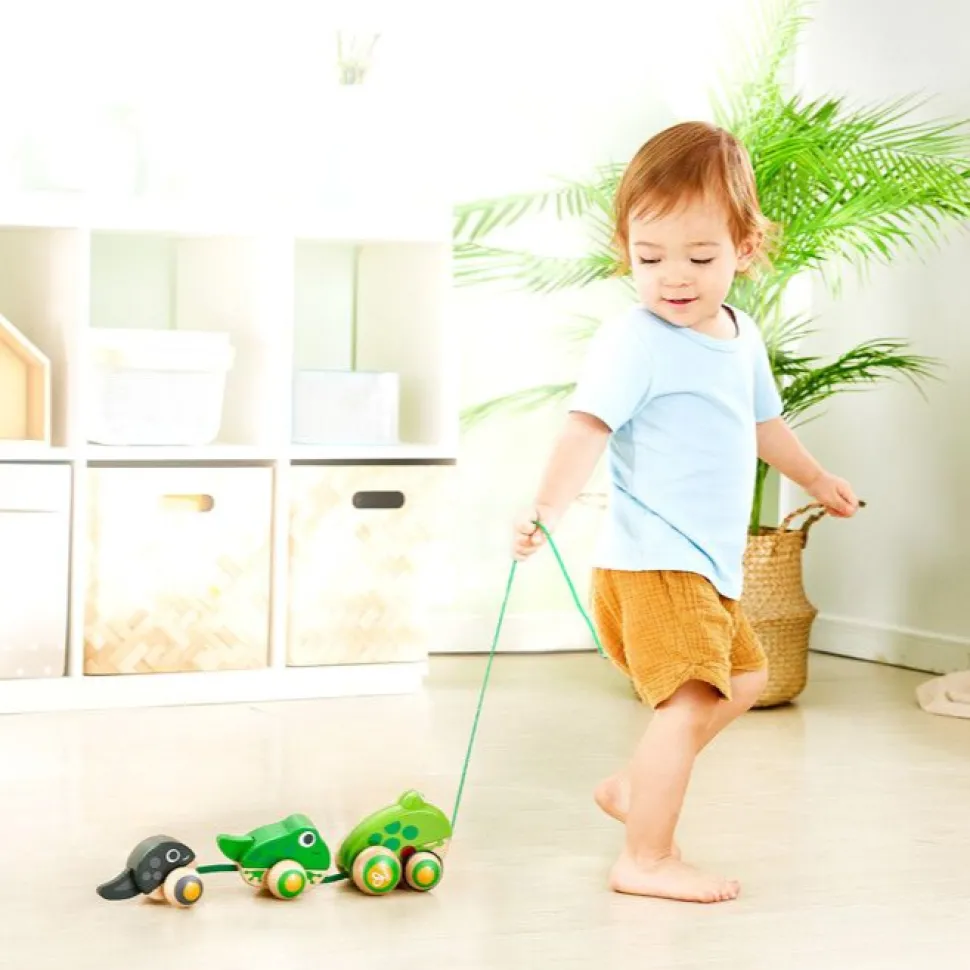 Nachziehspielzeug - Froschfamilie