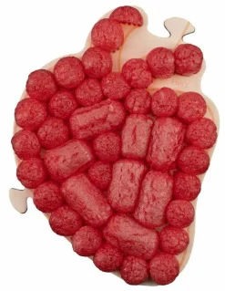 Playmais Zubehör - Anatomiepuzzle