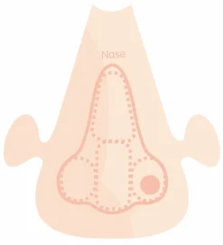 Playmais Zubehör - Anatomiepuzzle