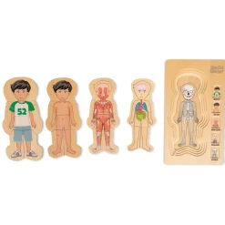 Puzzle - Anatomie Junge