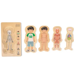 Puzzle - Anatomie Junge