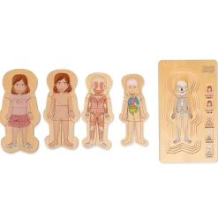 Puzzle - Anatomie Madchen