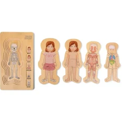 Puzzle - Anatomie Madchen