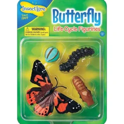 Schmetterling – Der Lebenszyklus Vom Ei Zum Insekt