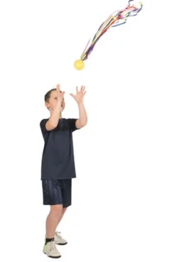 Schweifball Pocoball