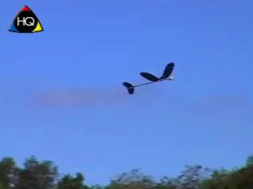 Segelflieger Airglider - 40 Cm