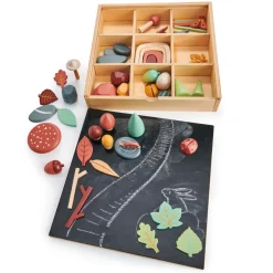 Sortierset - Schatze Vom Waldboden, 50 Teile