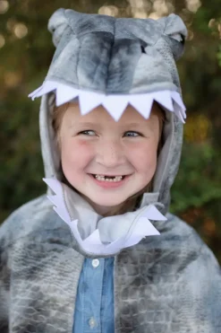 Spinosaurus (Gr. 4-6 Jahre)