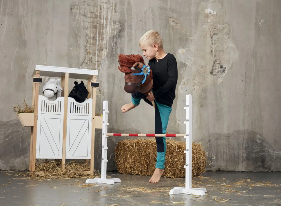 Steckenpferd Zubehör - Hurde