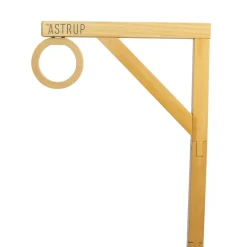 Steckenpferd Zubehör - Ringstechen