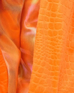 Tintenfisch, 2-4 Jahre