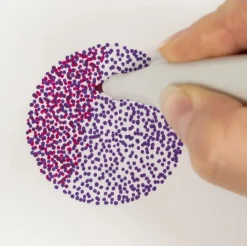 Twin Marker Filzstifte, 12 Stk.