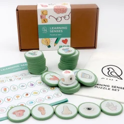 Unsere Sinne - Lernset