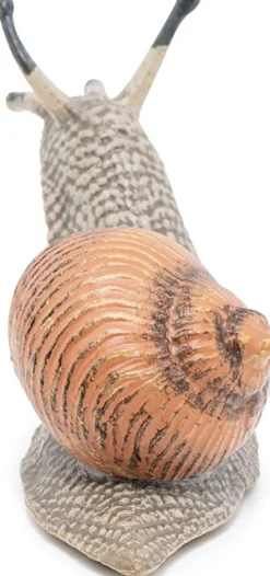 Weinbergschnecke (L: 6 Cm)
