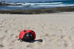 Windspiel Hupfender Marienkafer - 40 X 40 Cm