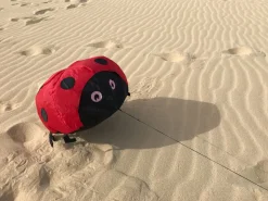 Windspiel Hupfender Marienkafer - 40 X 40 Cm