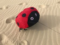 Windspiel Hupfender Marienkafer - 40 X 40 Cm