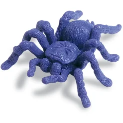 Zahle & Sortiere - Insekten, 72-Teilig