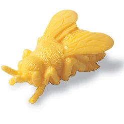 Zahle & Sortiere - Insekten, 72-Teilig