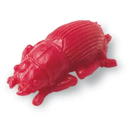 Zahle & Sortiere - Insekten, 72-Teilig