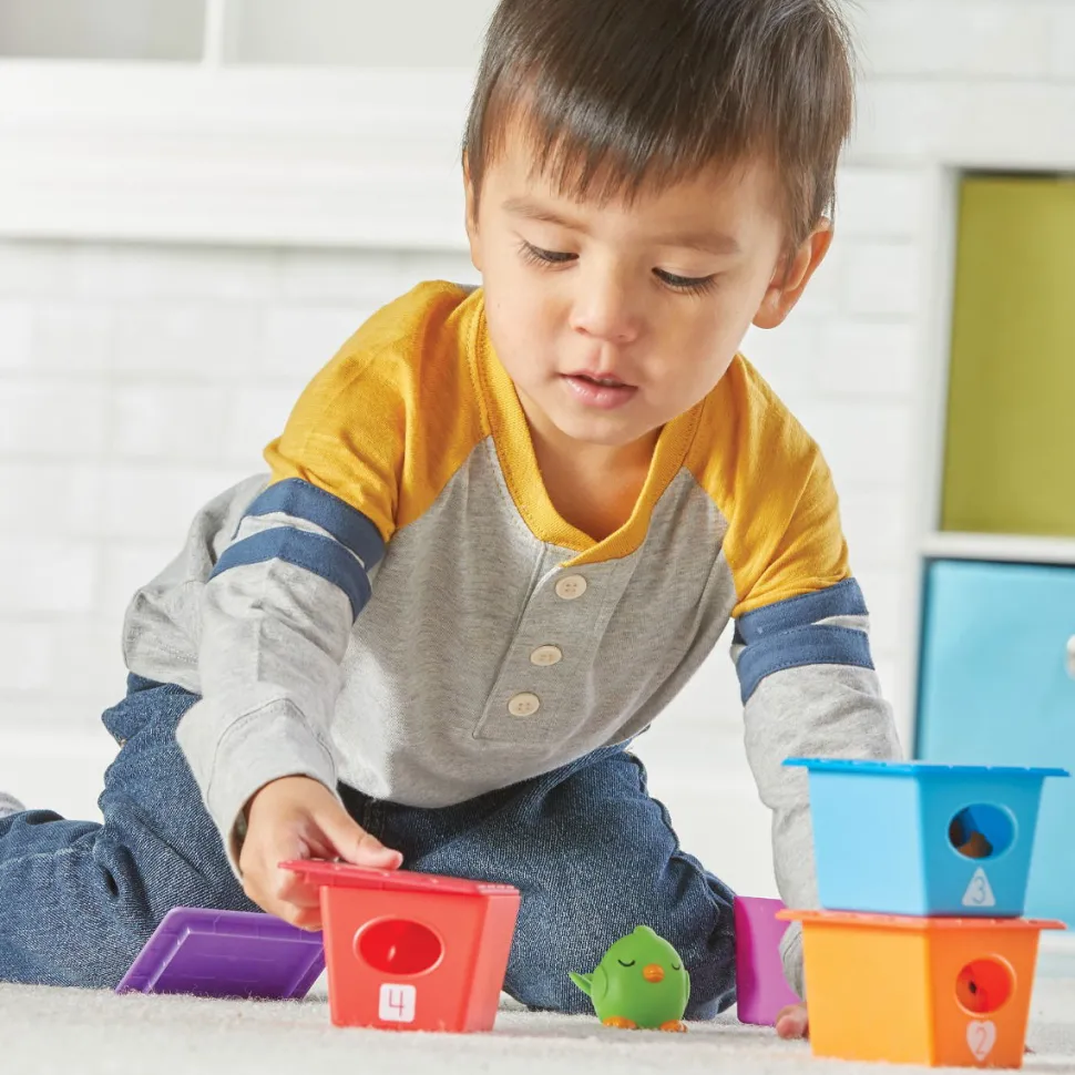 Zahlen Und Sortieren Mit Vogeln