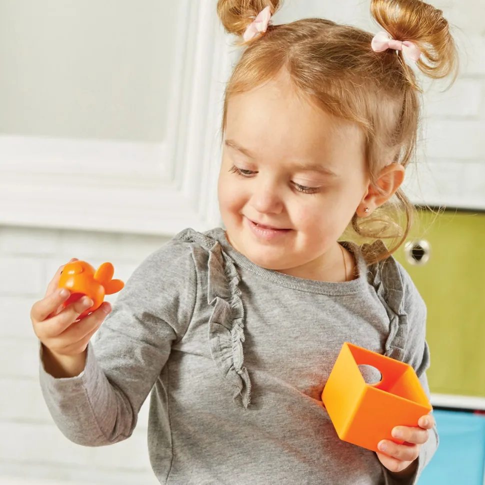 Zahlen Und Sortieren Mit Vogeln