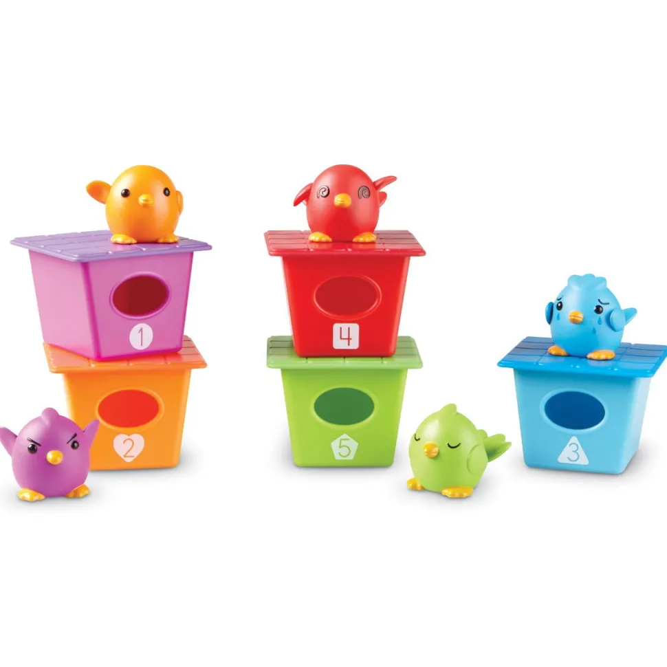 Zahlen Und Sortieren Mit Vogeln