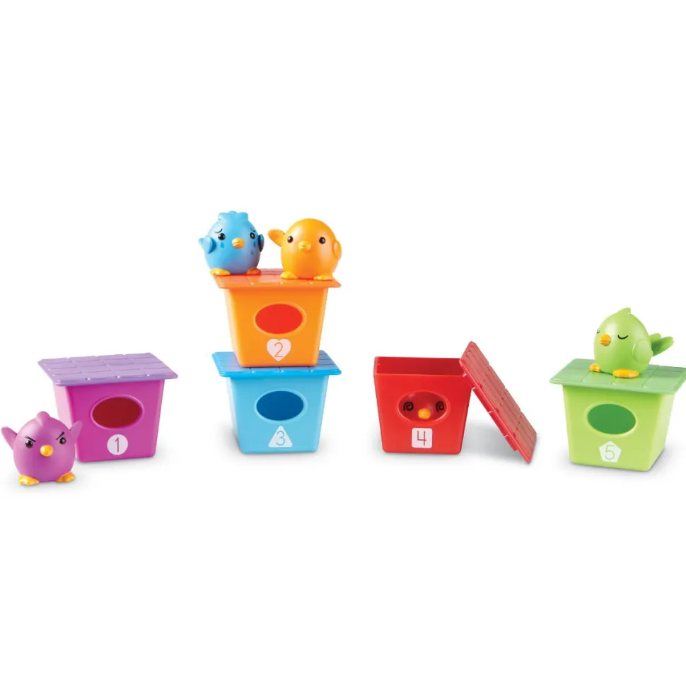 Zahlen Und Sortieren Mit Vogeln